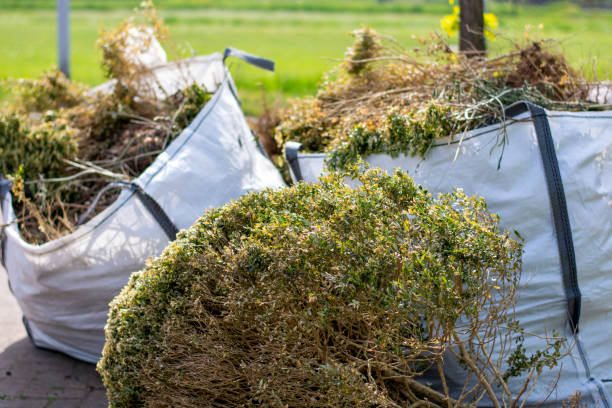 Best Household Junk Removal  in Rouse, CA